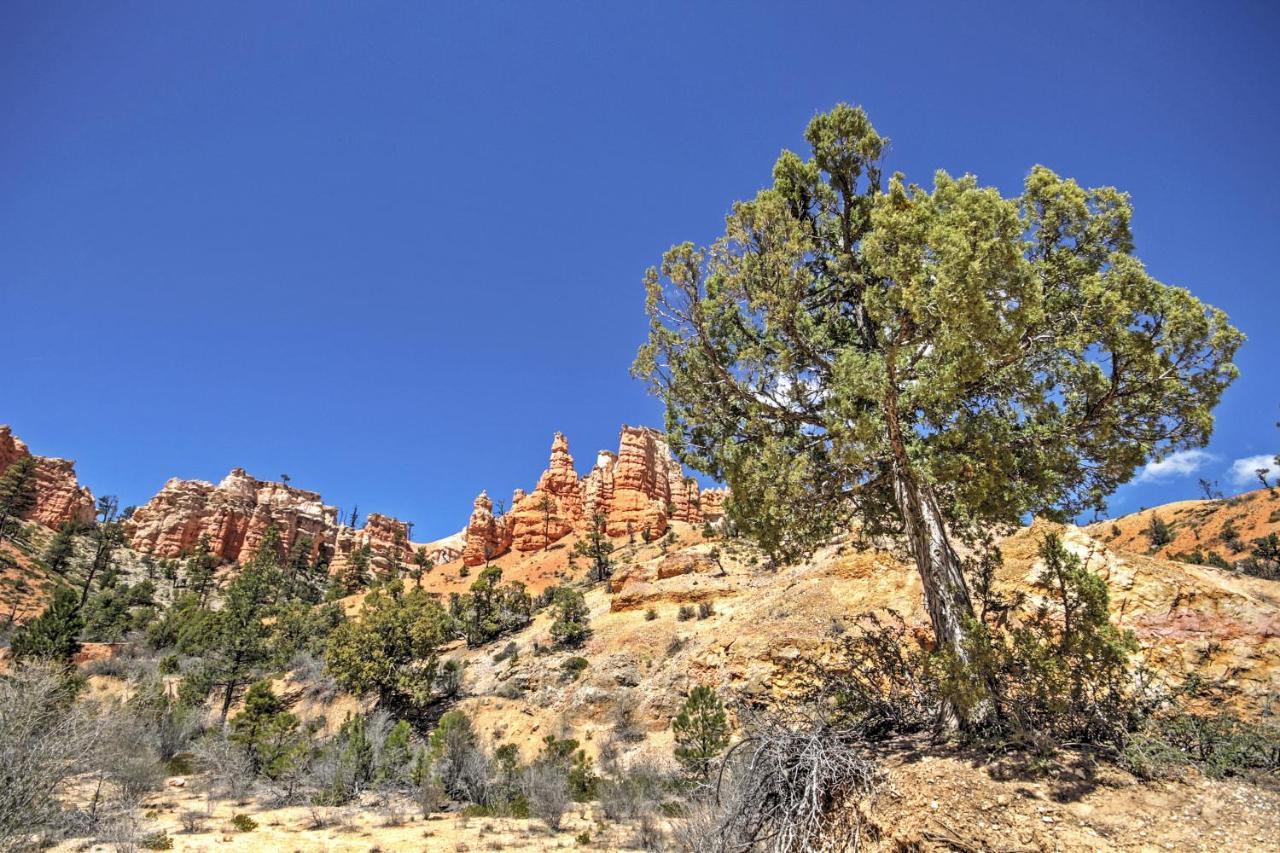 Bryce Canyon Area House With Mountain Views! تروبيك المظهر الخارجي الصورة